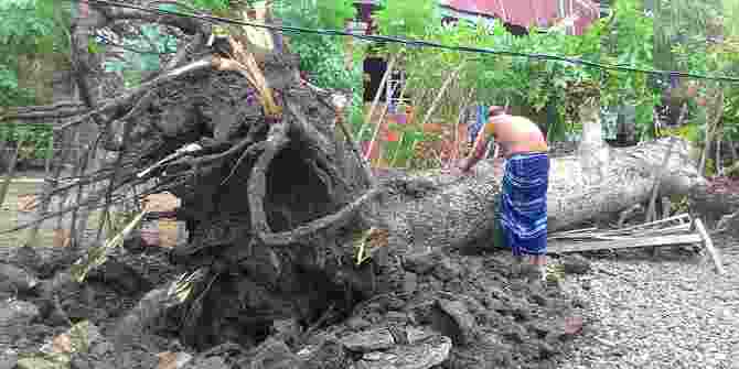 Ratusan Rumah Di Situbondo Rusak Terkena Puting Beliung