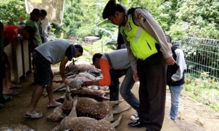 12 Rusa Mati BBKSDA Jatim Pasang Kamera Pengintai Hewan Buas