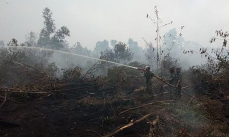 BMKG Mendeteksi 7 Titik Panas Di Riau